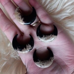Petrified Wood Moons